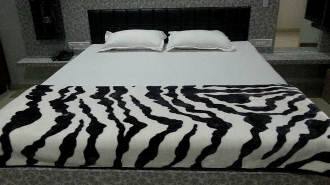 Hotel Janpath, Ahmedabad 3